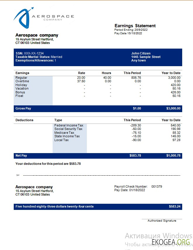 Relevé des résultats d'une entreprise aérospatiale aux formats Word et PDF
